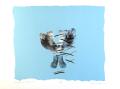  My footbird leave the nest, 1991, screen print
